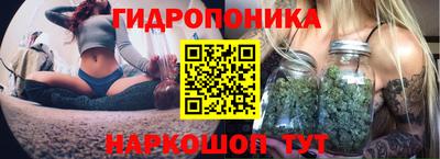 стафф Аргун