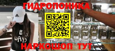 стафф Аргун