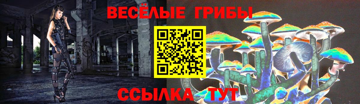 Псилоцибиновые грибы MAGIC MUSHROOMS Балахна