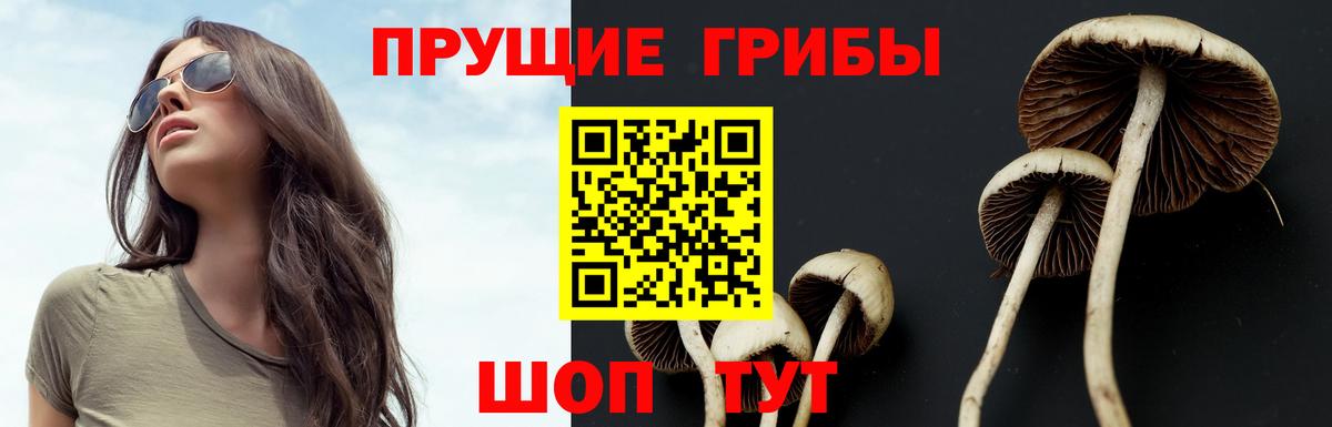 Балахна  Псилоцибиновые грибы прущие грибы  Вход с VPN 