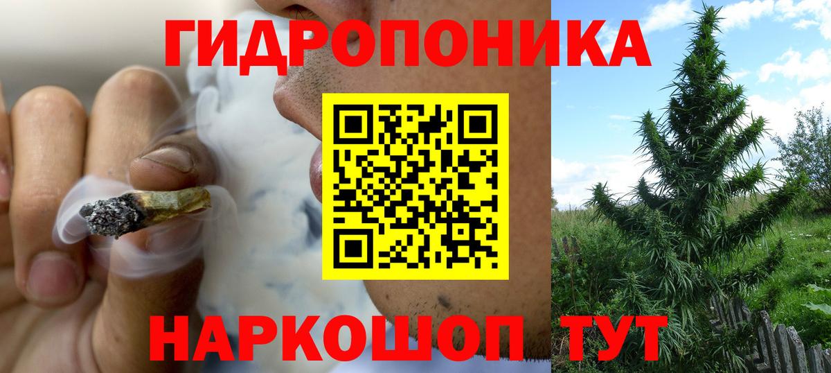 Марихуана индика  МАРИХУАНА план  Балахна  Вход с VPN  Конопля семена  Марихуана планчик 
